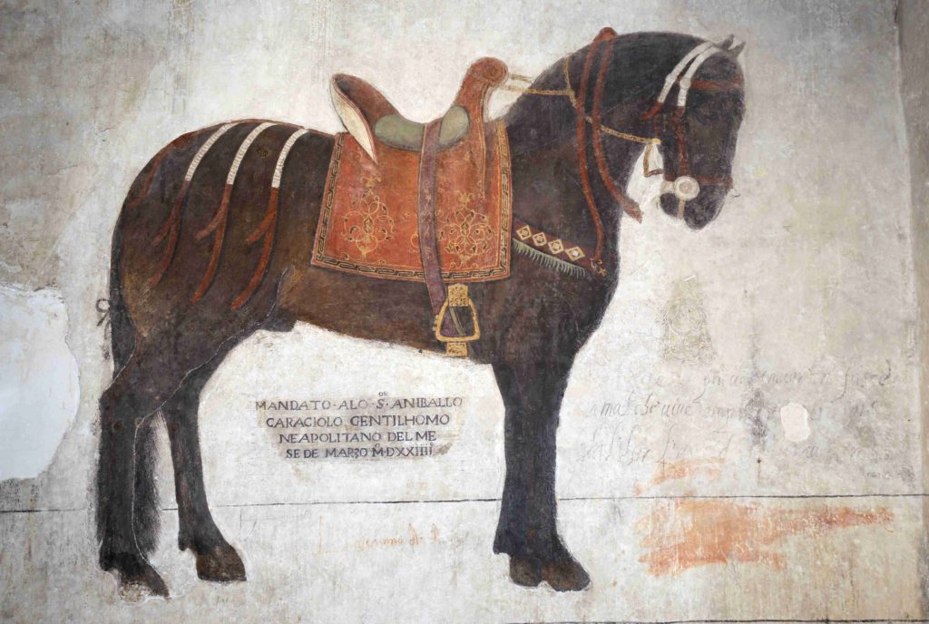 Afresco di un cavallo in rilievo - Castello Pandone Venafro (IS)